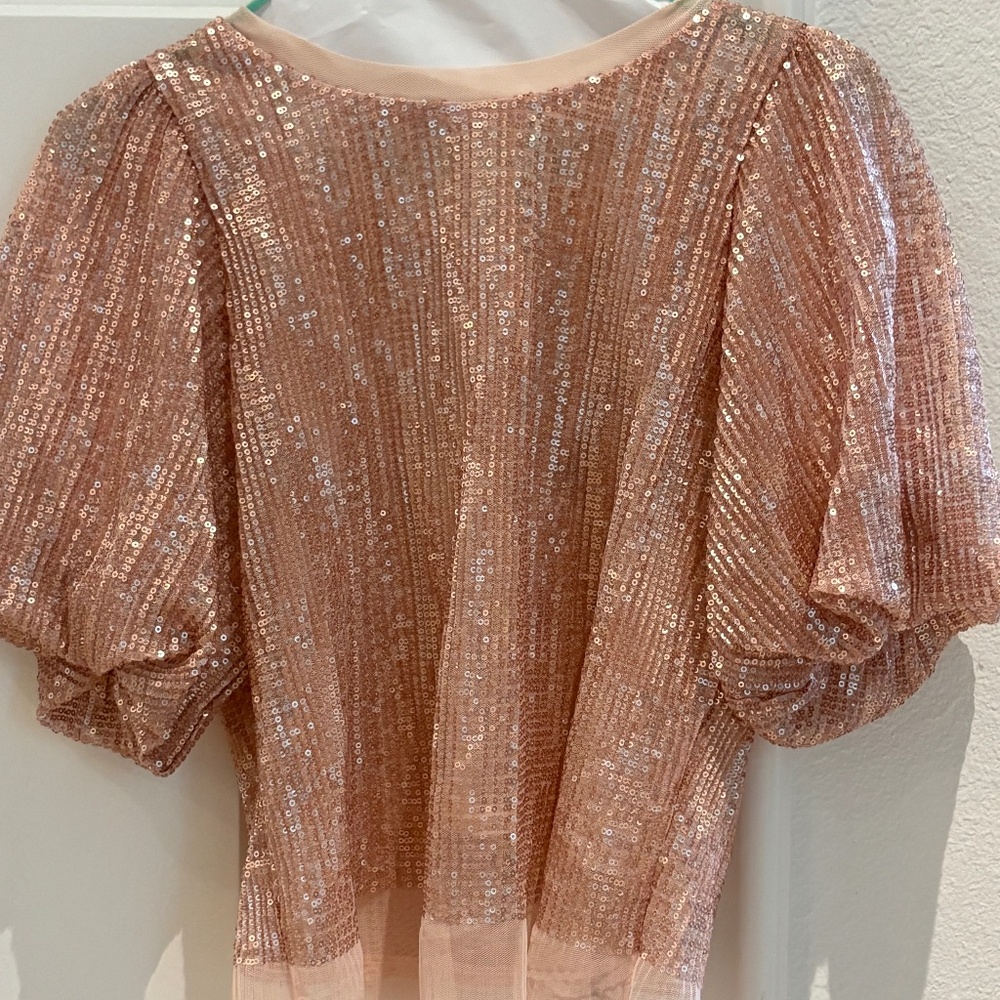 Anthropologie Sarah Hann Sequined Puff-Sleeve Top- XS